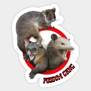 Possum Gang Sticker